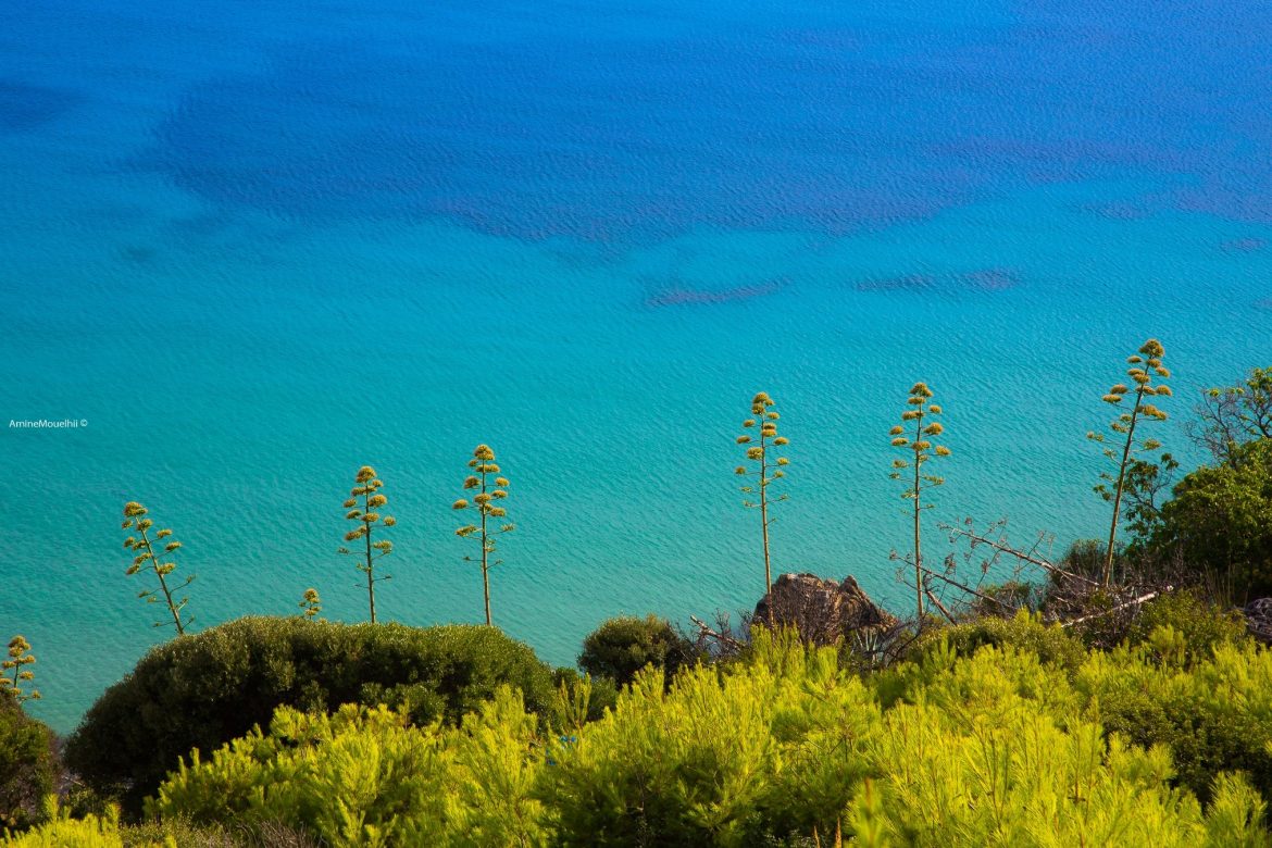 The Galite Islands of Tunisia