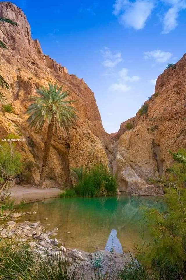 Chebika-Tozeur-Tunisia.