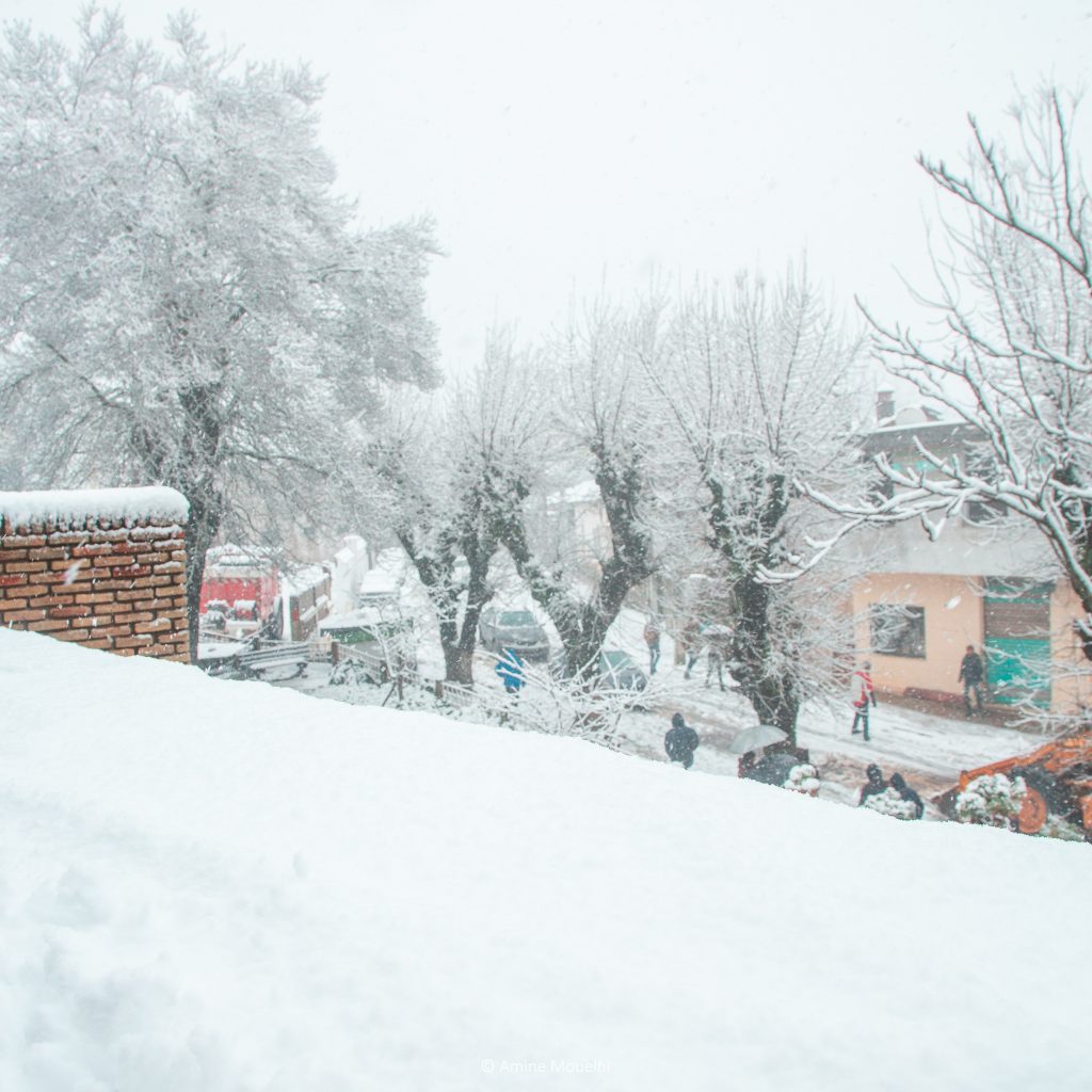 Snowing in Ain Draham, Jendouba, Tunisia.
