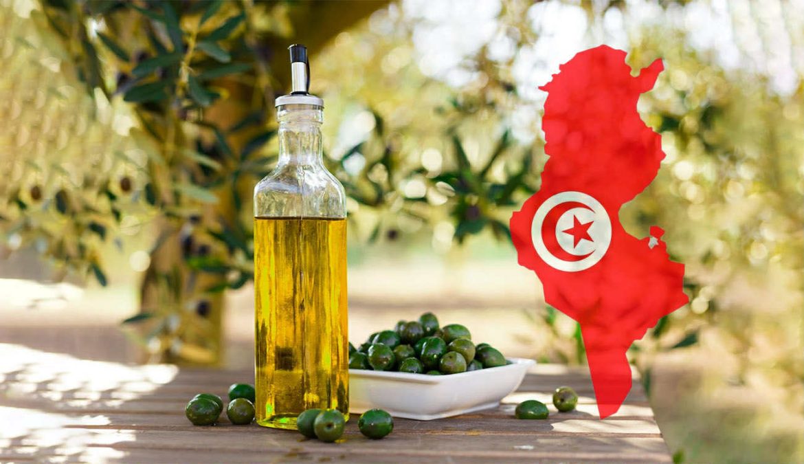 Tunisia Prepares for Historic Olive Oil Harvest in 2025