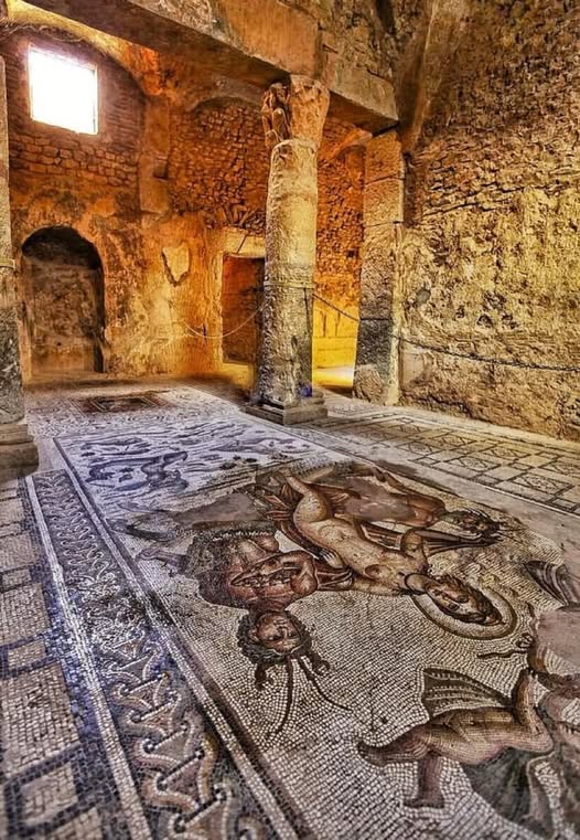 Roman Floor Mosaic at Bulla Regia Archeological site in Tunisia. Dates back to the 3rd Century AD. 
