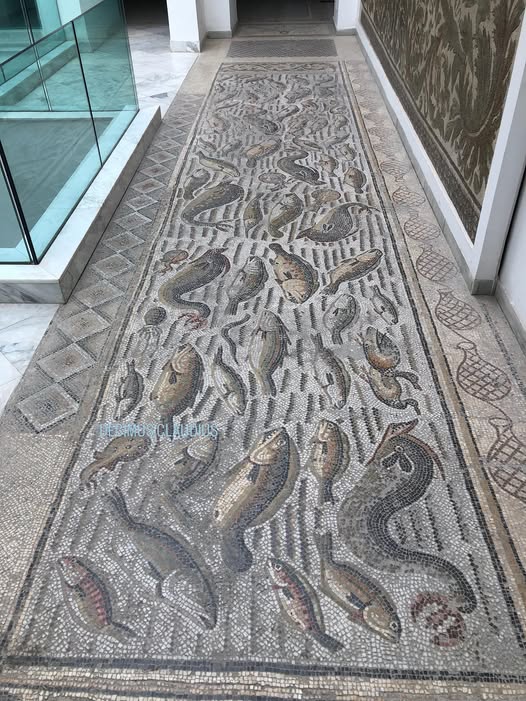 A Roman mosaic with a lot of marine life and fishing nets on the floor of the Bardo Museum in Tunis, Tunisia over which tourists walk. By ecimus Claudius