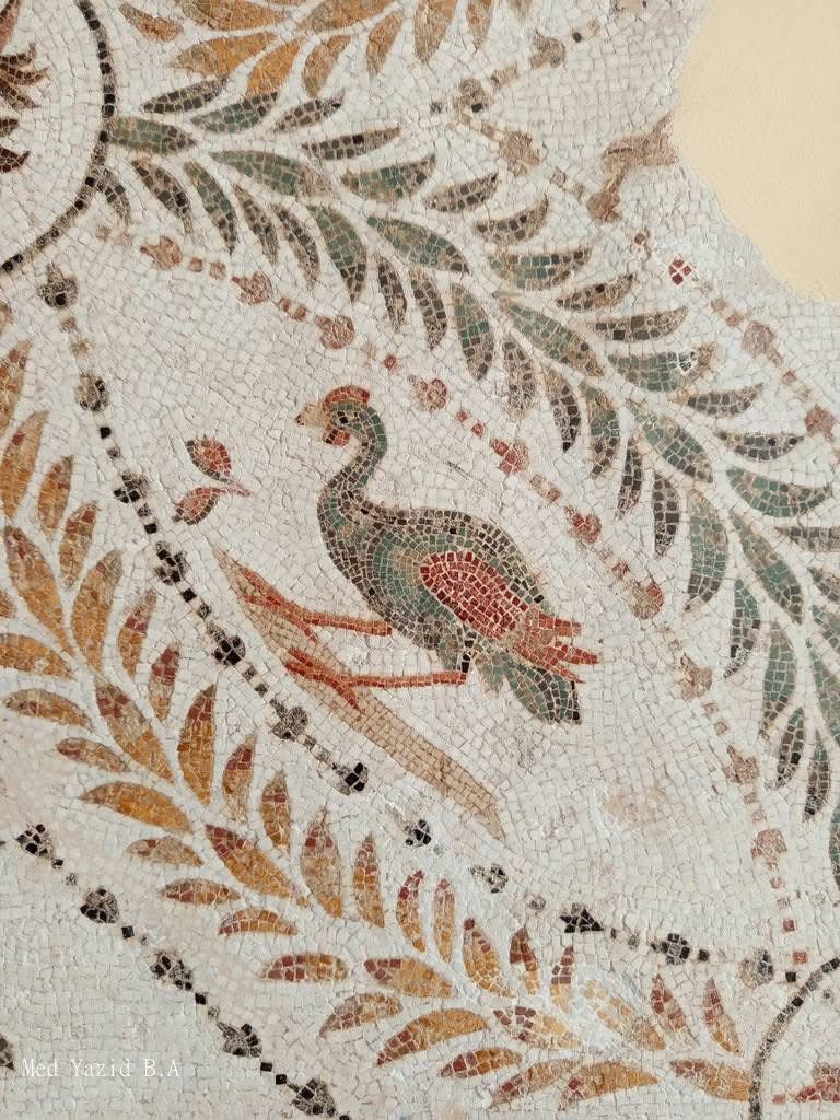Mosaic in El Jem - Tunisia