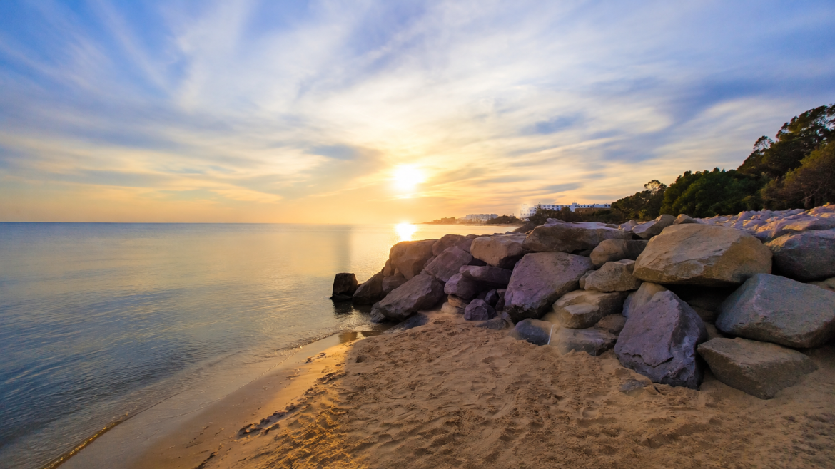Tunis to Hammamet
