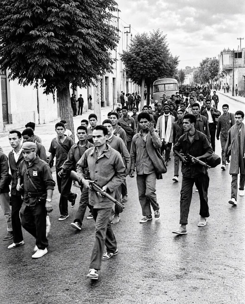 Evacuation Day in Tunisia