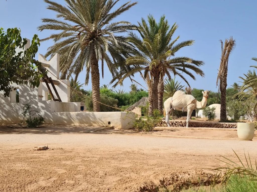 Djerba Explore at a Glance