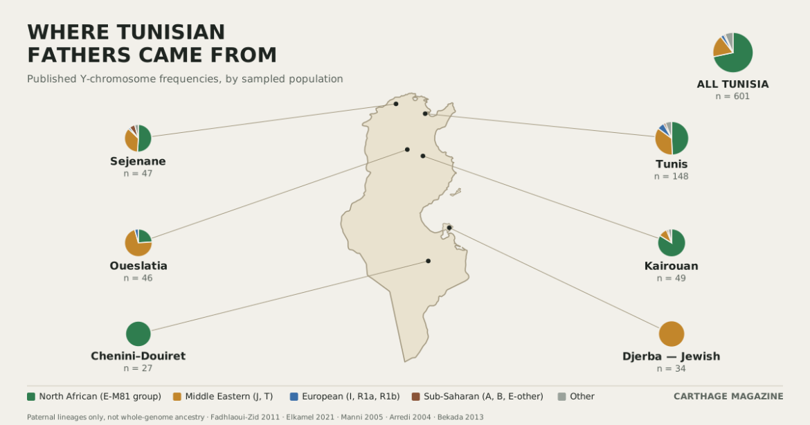 What Tunisian DNA Actually Shows